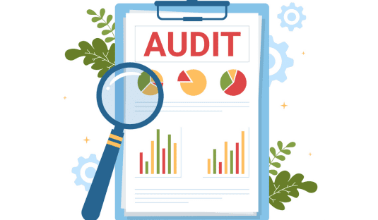 Streamlining Supply Chain Efficiency: Lessons learned from a Supplier Audit