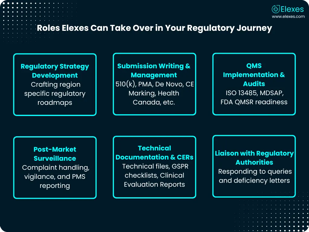 Flowchart showing different roles handled by Elexes in outsourced regulatory projects