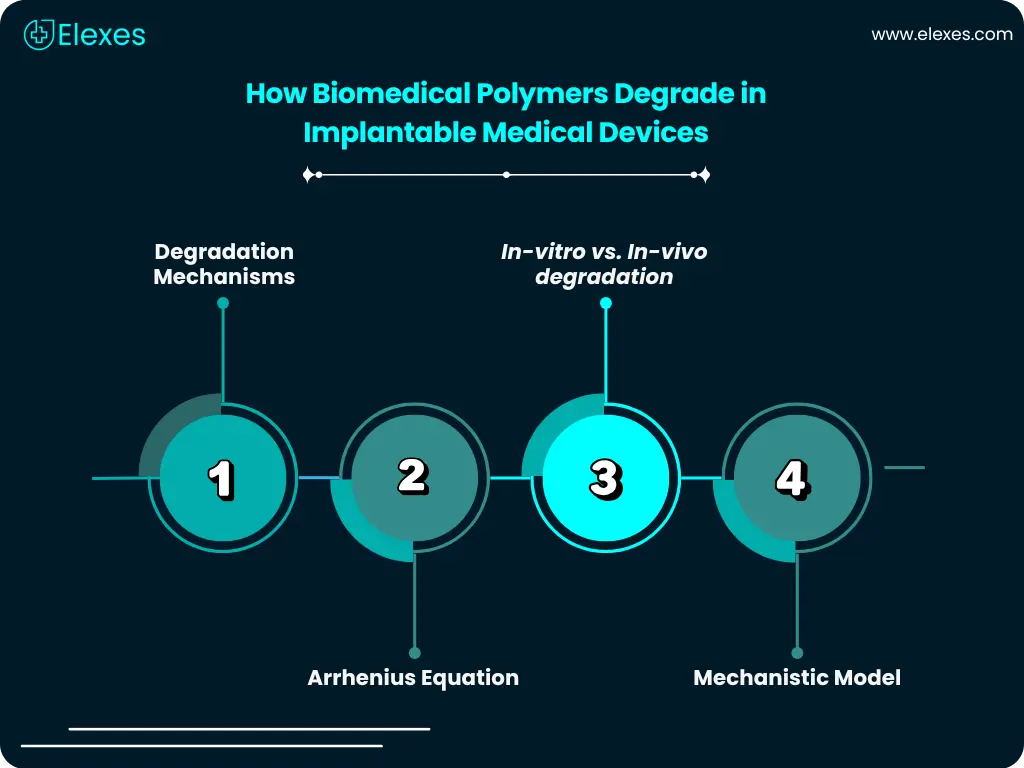 degradation kinetics of biomedical polymers in implantable medical devices, showing hydrolytic and oxidative reactions, Arrhenius equation modeling, and predictive mechanistic models